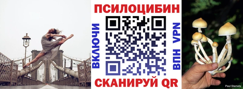 дарнет шоп  KRAKEN рабочий сайт  Галлюциногенные грибы GOLDEN TEACHER  Ленинградская 