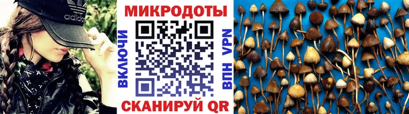 Псилоцибиновые грибы GOLDEN TEACHER Ленинградская